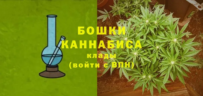 Канабис OG Kush  Вязьма 